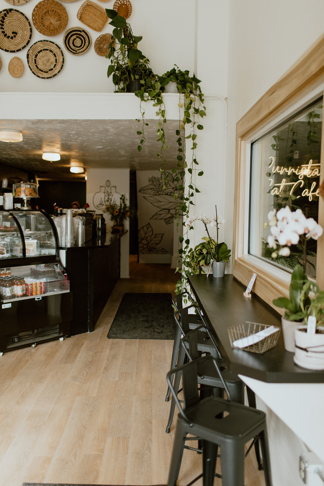 Purrista Cat Café Opens in Downtown Erie Erie Reader